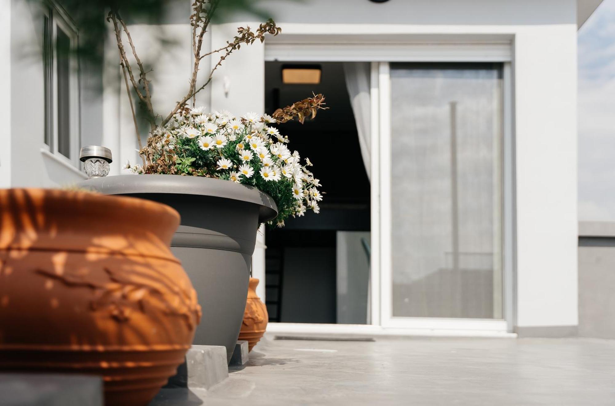 Stylish Overlooking The Acropolis Athen